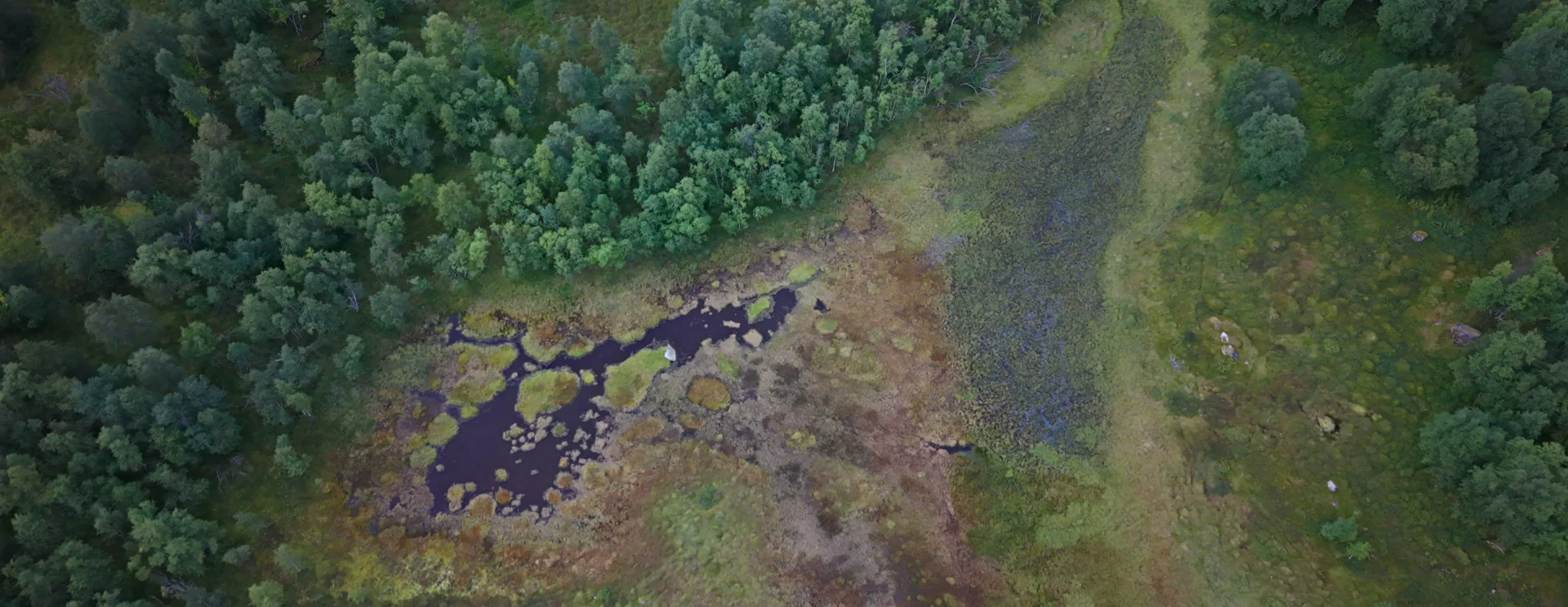 An aerial view of a forest and wetland in Norway